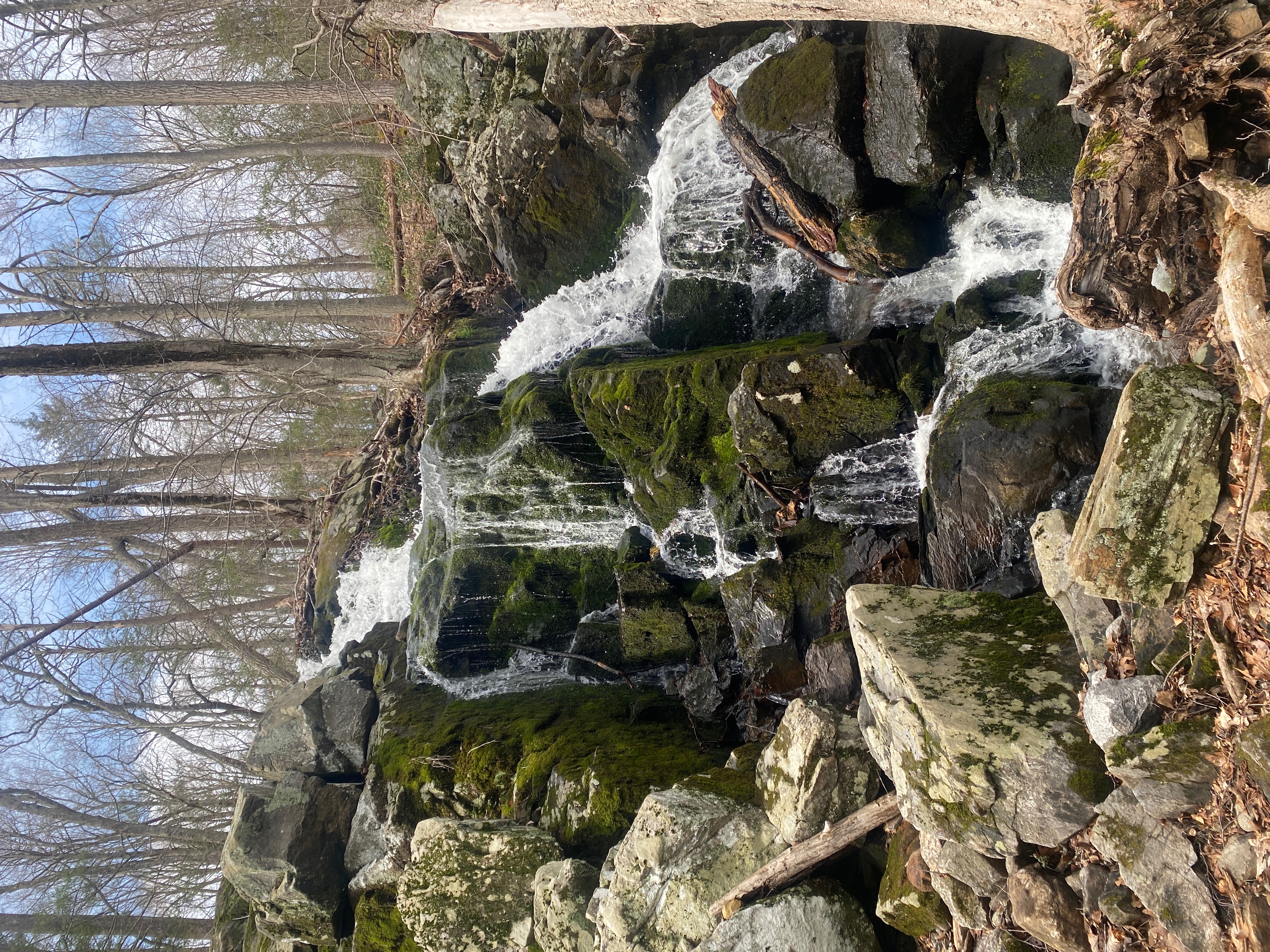 Spring Hikes